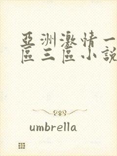 亚洲激情一区二区三区小说