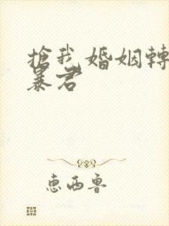 抢我婚姻转身嫁暴君封面