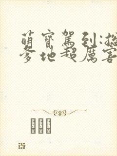 萌宝驾到:总裁爹地超厉害