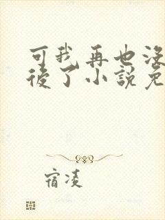 可我再也没有以后了小说免费阅读封面