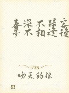 春深不归客,清梦不相逢后续