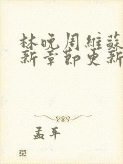 林晚周维苏晴最新章节更新时间