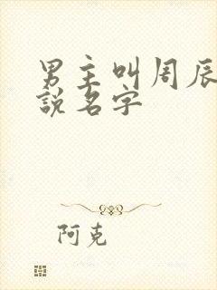 男主叫周辰的小说名字