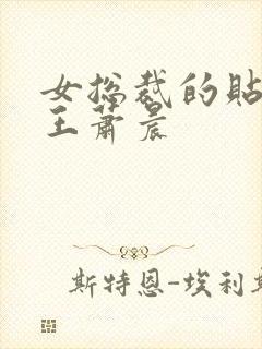 女总裁的贴身兵王萧晨