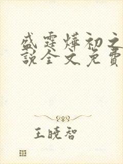 盛霆烨初之心小说全文免费阅读