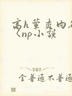 高h荤爽肉欲文〈np小说