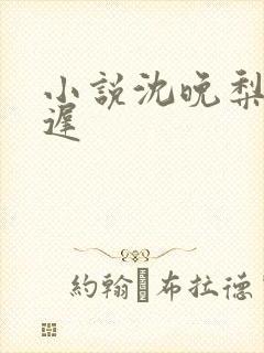 小说沈晚梨谢云迟