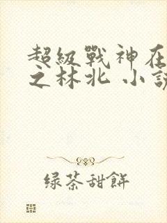 超级战神在都市之林北 小说