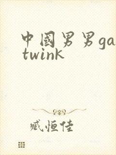中国男男gay twink