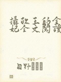 摄政王的金牌宠妃全文阅读免费封面