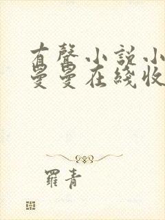 有声小说小苮儿曼曼在线收听全集