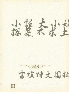 小说 大小姐她总是不求上进封面