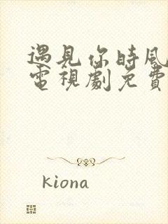 遇见你时风很甜电视剧免费观看全集封面