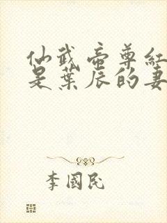 仙武帝尊红尘雪是叶辰的妻子吗