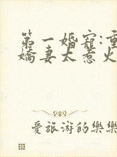 第一婚宠:重生娇妻太惹火'