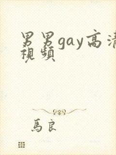 男男gay高清视频