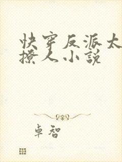 快穿反派太宠太撩人小说