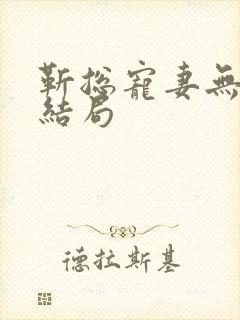 靳总宠妻无度大结局封面