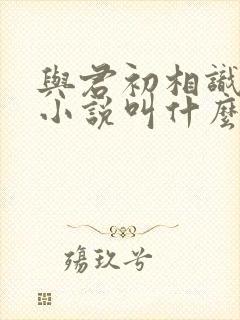 与君初相识原著小说叫什么封面