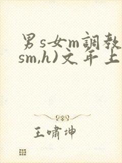 男s女m调教(sm,h)文年上