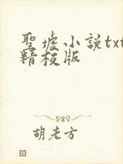 圣墟小说txt精校版封面
