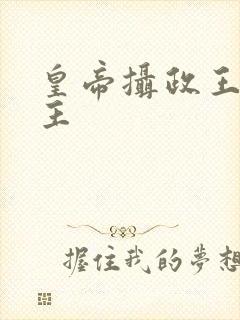 皇帝摄政王双男主