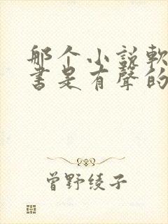 那个小说软件听书是有声的