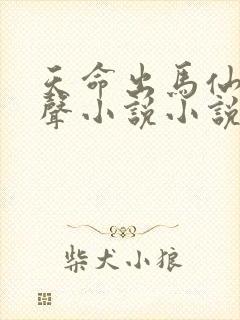 天命出马仙 有声小说小说