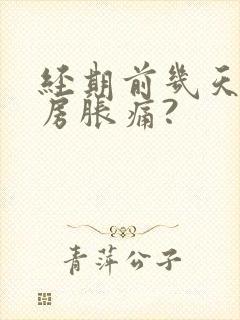 经期前几天会乳房胀痛?