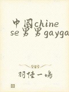 中国chinese男男gaygayvideo