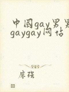 中国gay男男gaygay网站