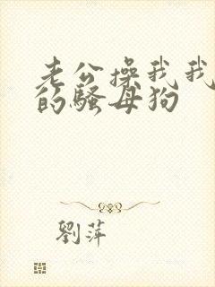 老公操我我是你的骚母狗