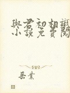 与君初相识原著小说免费阅读