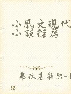 小凰文现代言情小说推荐