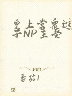 皇上当众进入太子NP主受