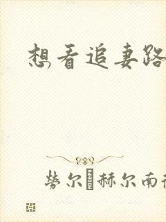 想看追妻路漫漫