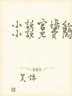 小说官场红颜的小说免费阅读