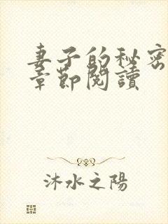 妻子的秘密最新章节阅读封面