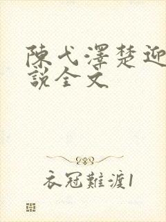 陈弋泽楚迎芷小说全文封面