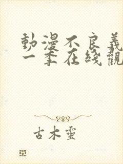 动漫不良义姐第一季在线观看免费全集