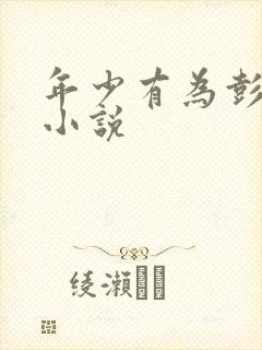 年少有为彭昱畅小说封面