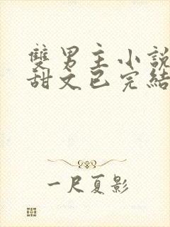 双男主小说推荐甜文已完结娱乐圈