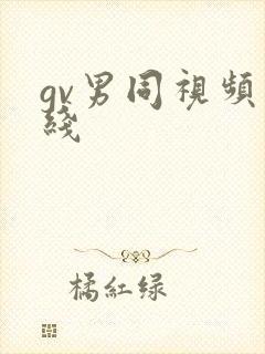 gv男同视频在线