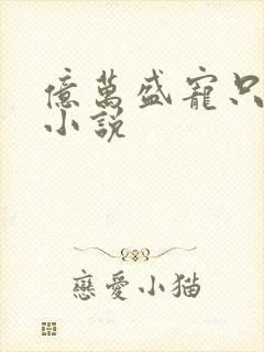 亿万盛宠只为你小说