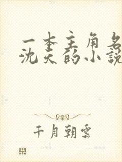 一本主角名字叫沈天的小说