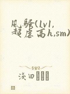 风骚(1v1,超虐高h,sm)