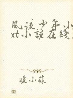 风流少年小杰txt小说在线阅读封面