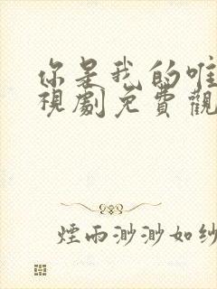 你是我的唯一电视剧免费观看全集