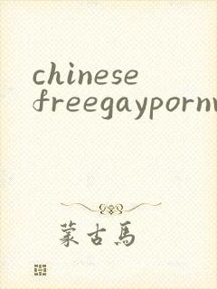 chinesefreegaypornvideo