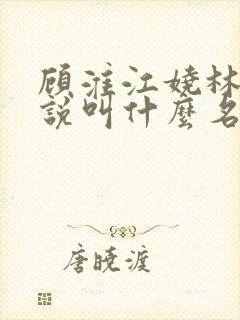 顾淮江娆林澈小说叫什么名字封面